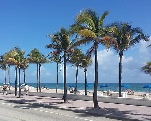 Miami USA Miami USA