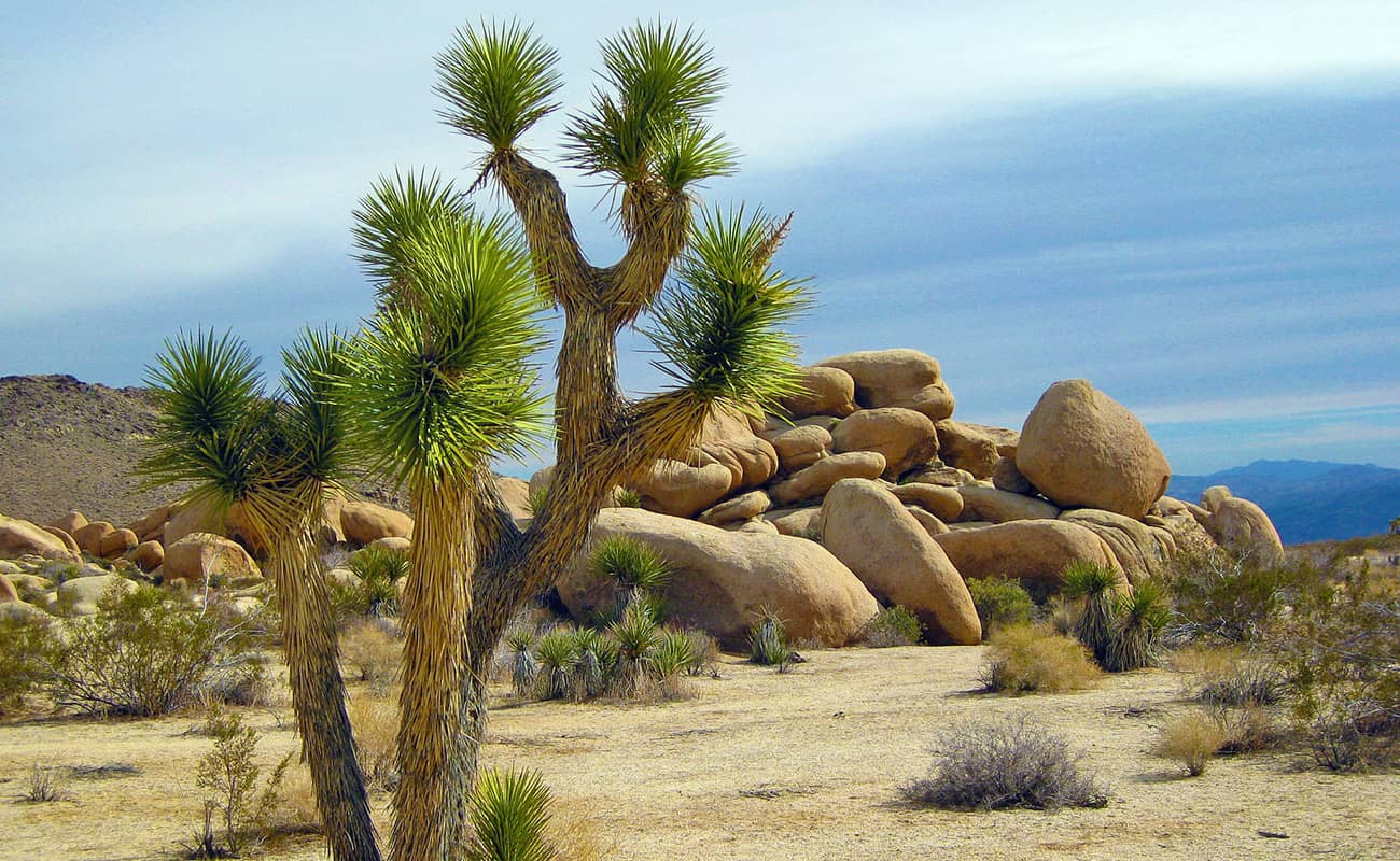 National Park USA